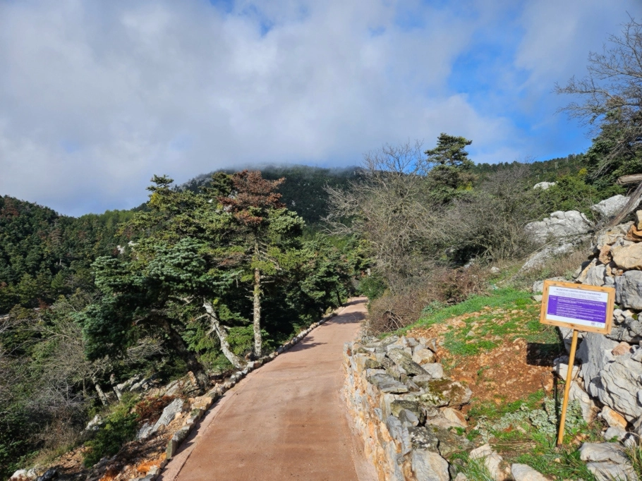 Στιγμιότυπο από το έργο σε εξέλιξη