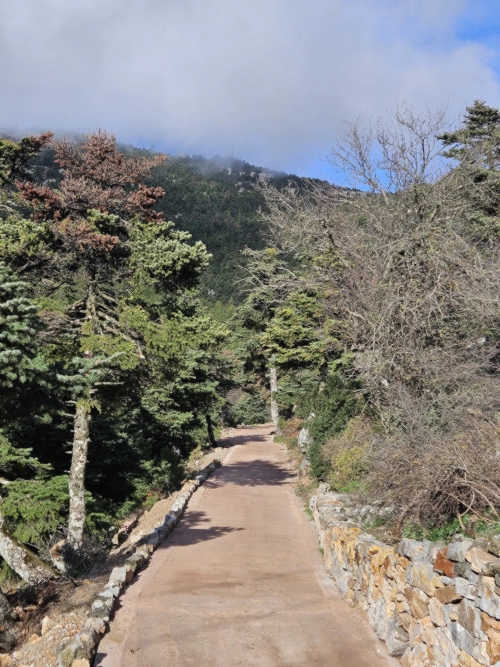 Κατασκευή μονοπατιού 2